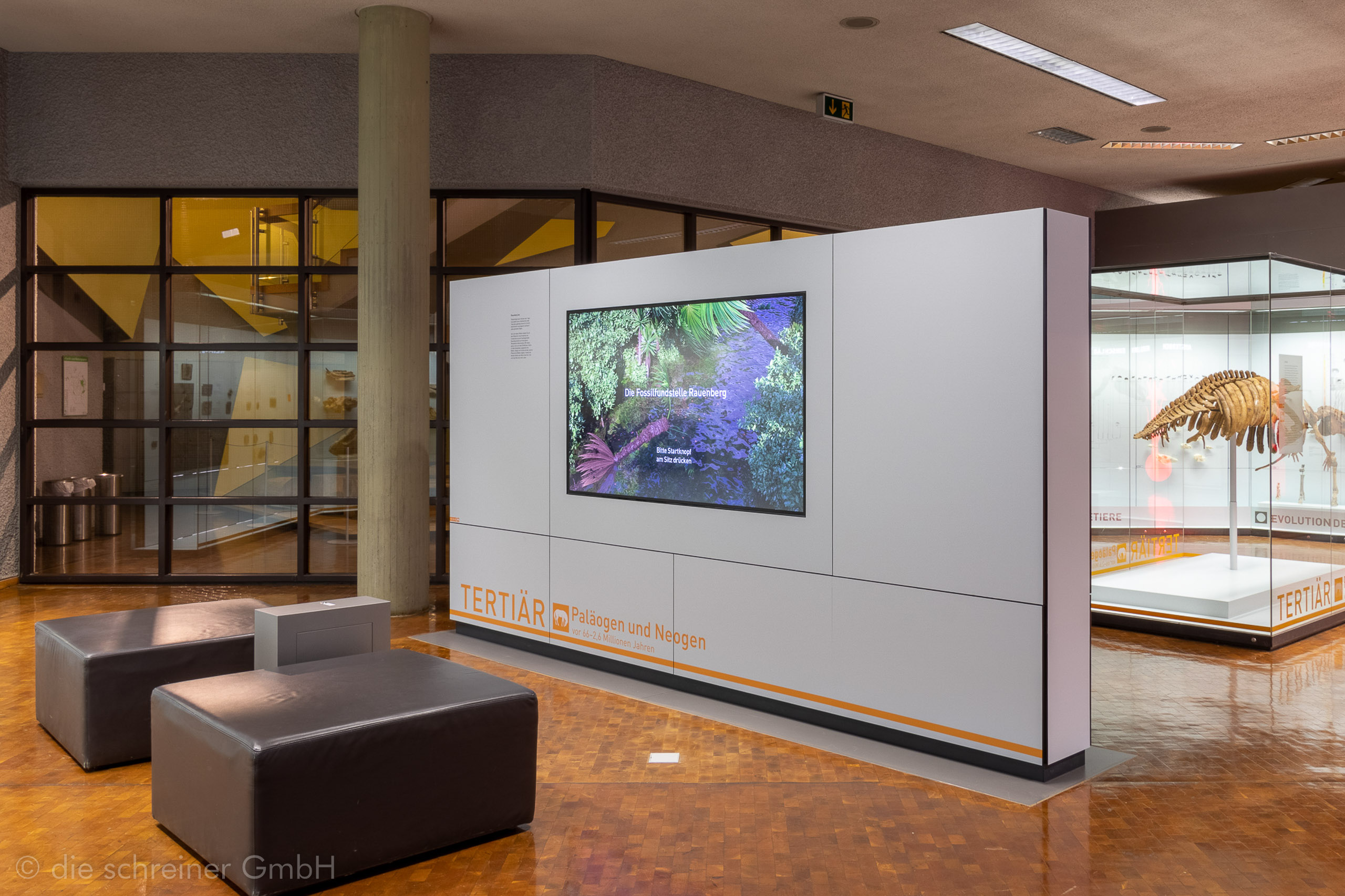 Naturkundemuseum Stuttgart