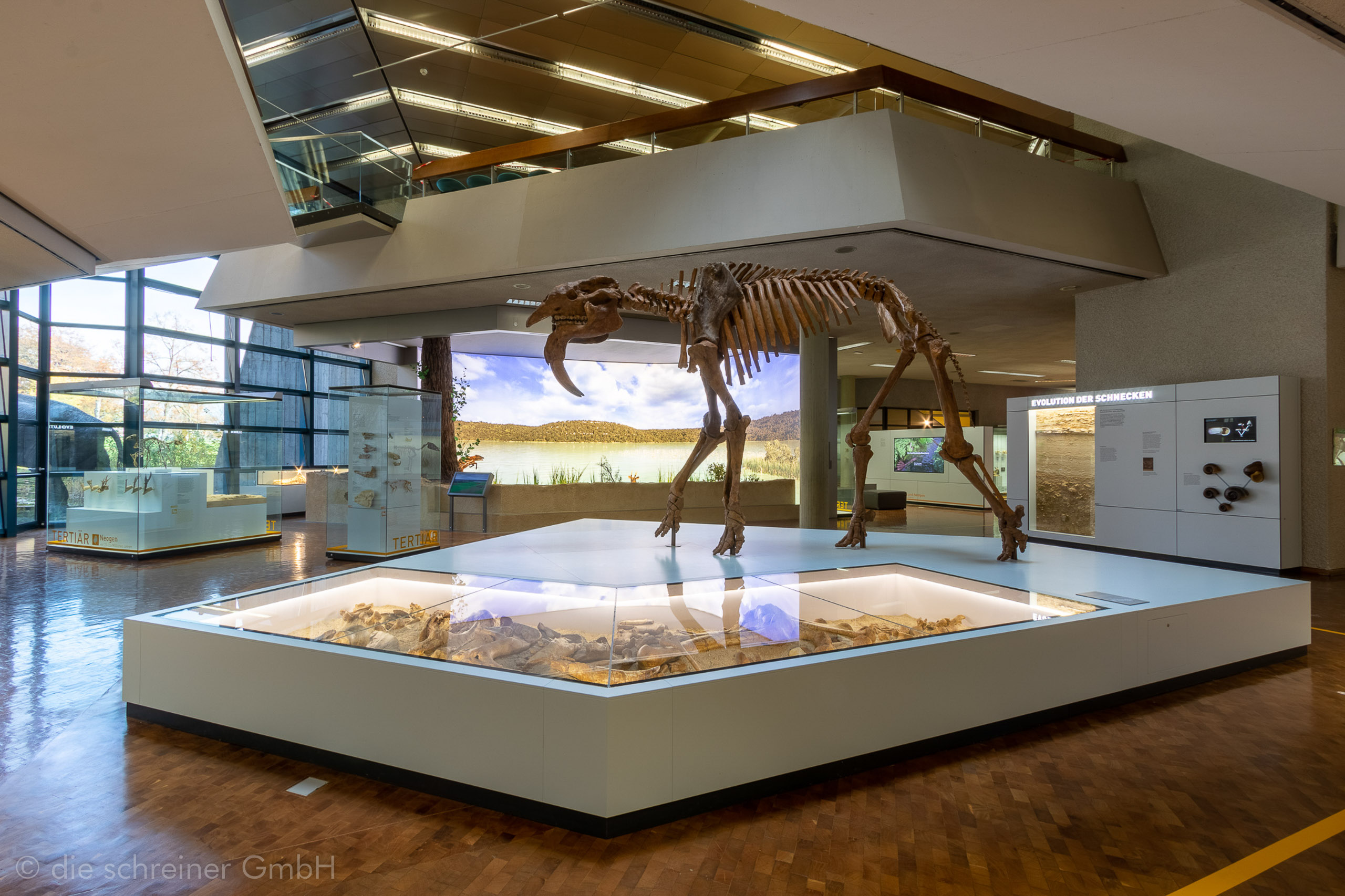 Naturkundemuseum Stuttgart