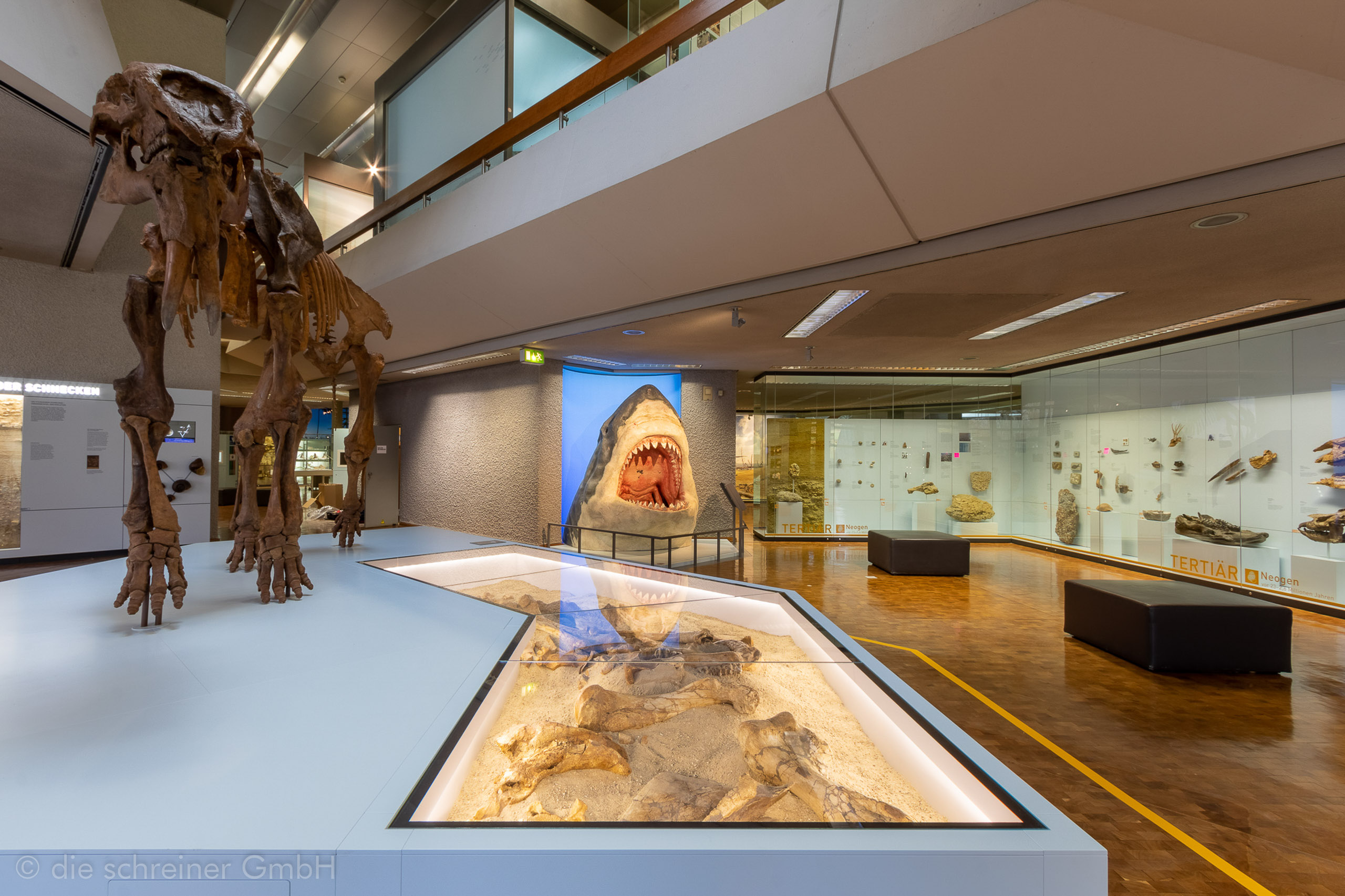 Naturkundemuseum Stuttgart